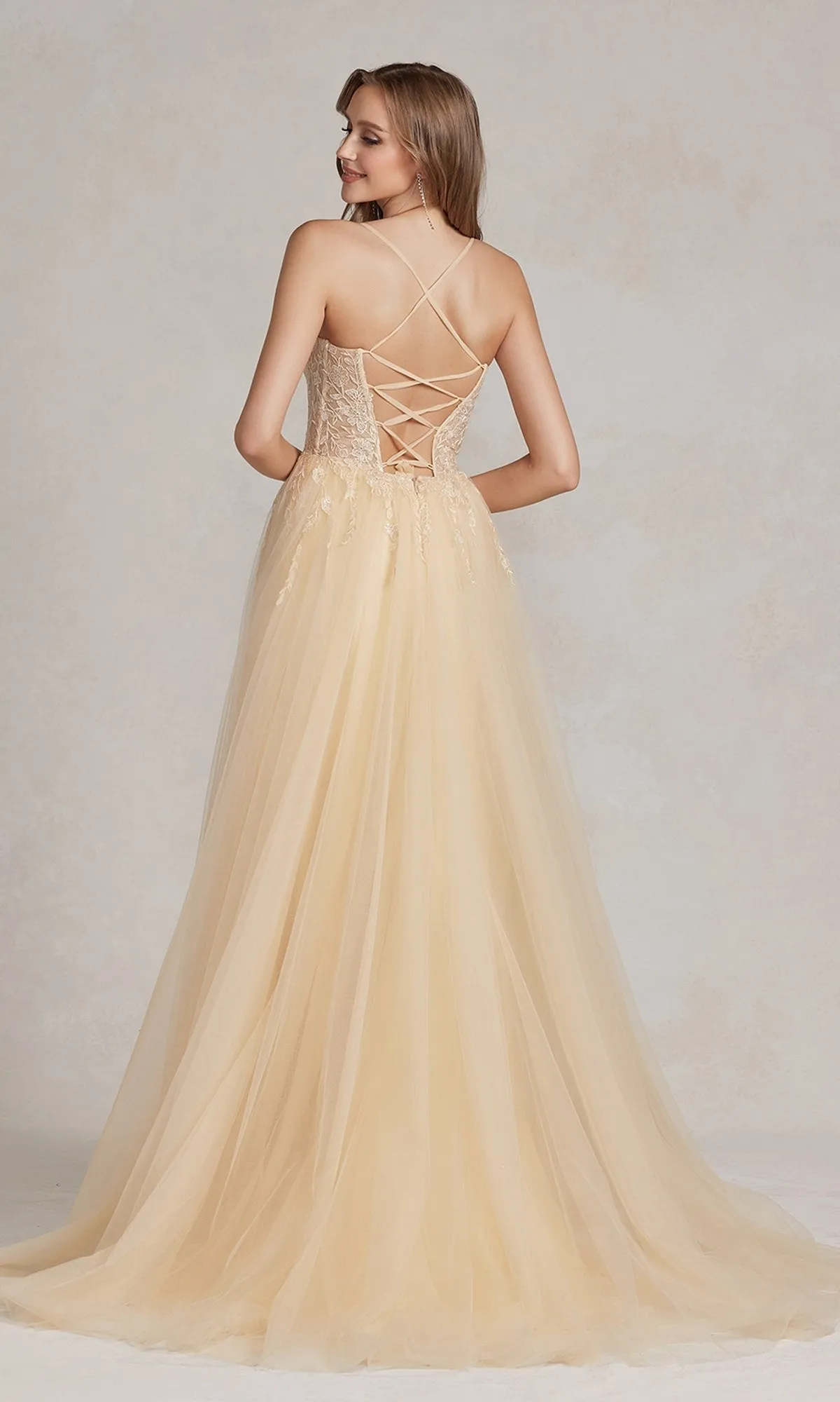 A-Line Long Lace Prom Dress with Sheer Waist