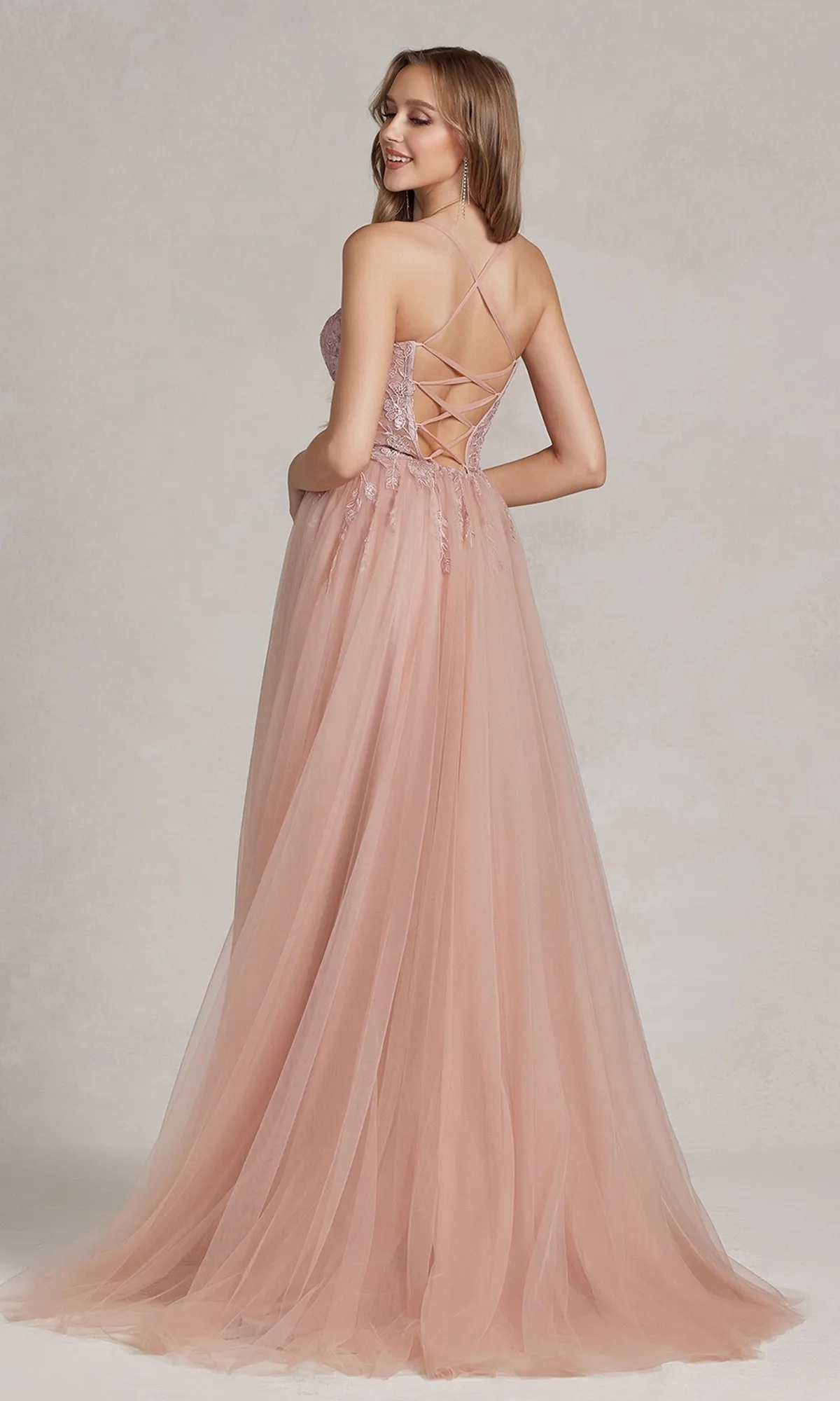 A-Line Long Lace Prom Dress with Sheer Waist