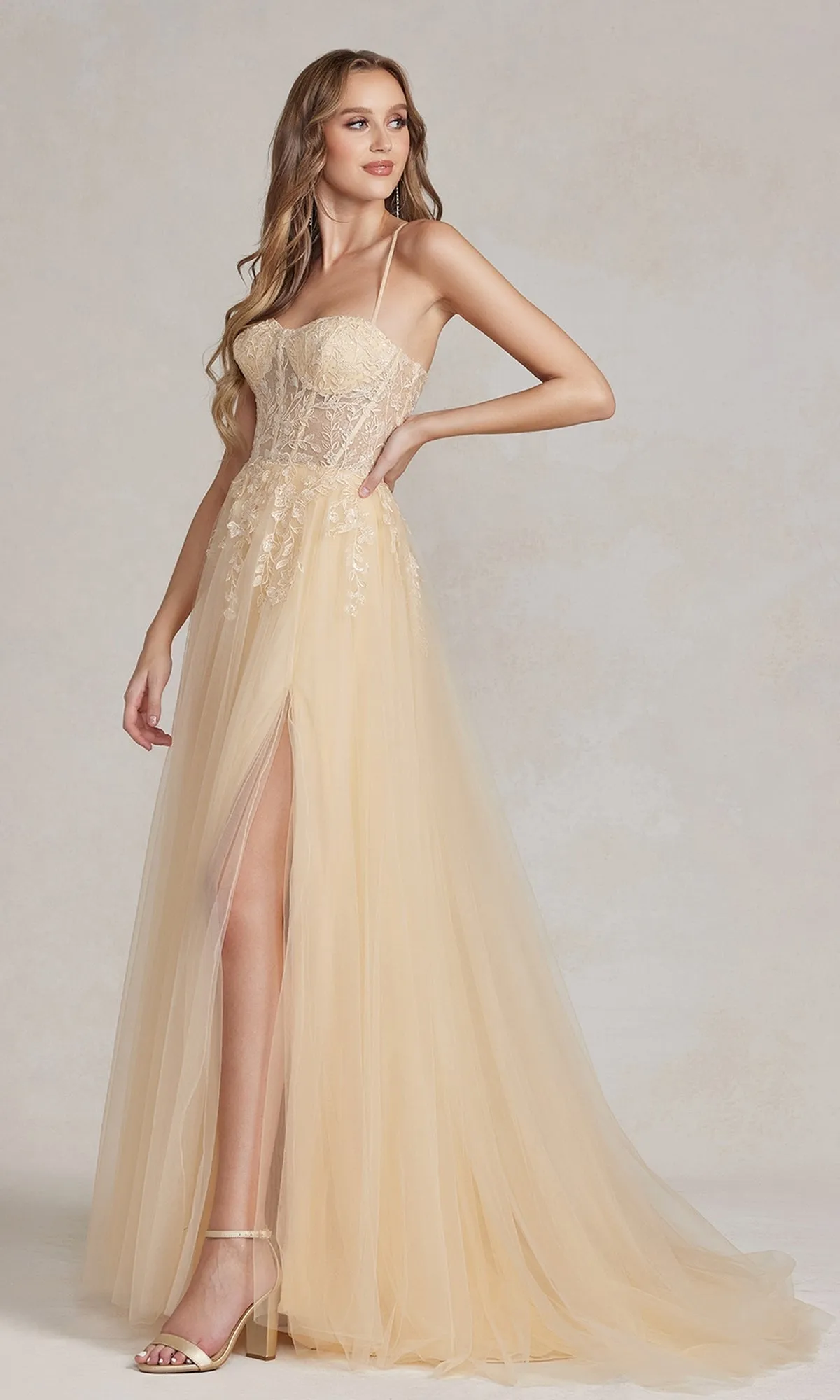 A-Line Long Lace Prom Dress with Sheer Waist