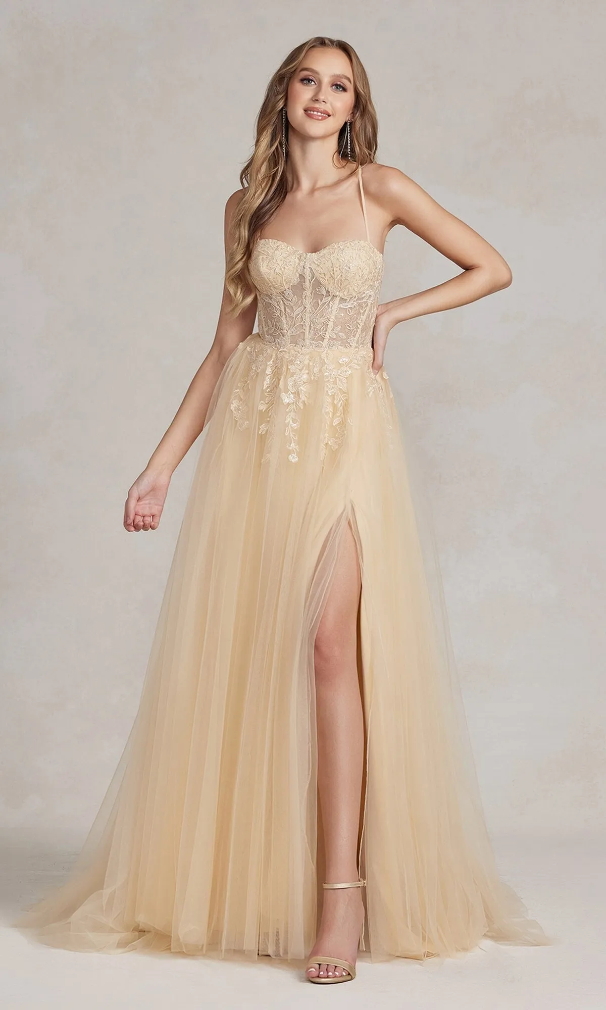 A-Line Long Lace Prom Dress with Sheer Waist